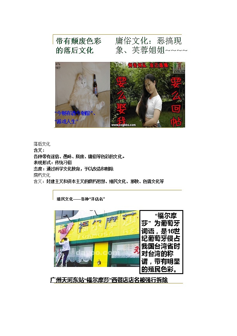 高中政治 第4单元 第8课 第2框 在文化生活中选择教材分析与导入设计2 新人教版必修3 教案02