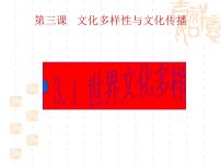 高中政治思品人教版 (新课标)必修3 文化生活1 世界文化的多样性多媒体教学课件ppt