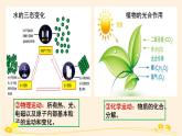 2.2运动的规律性 课件