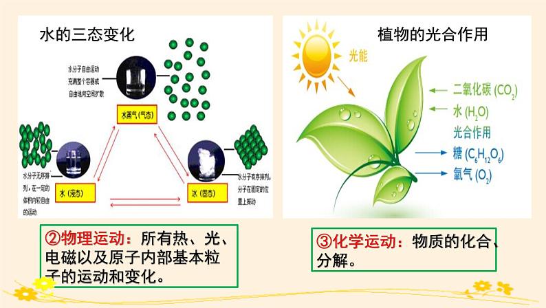 2.2运动的规律性 课件04