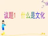 7.1文化的內(nèi)涵與功能 課件