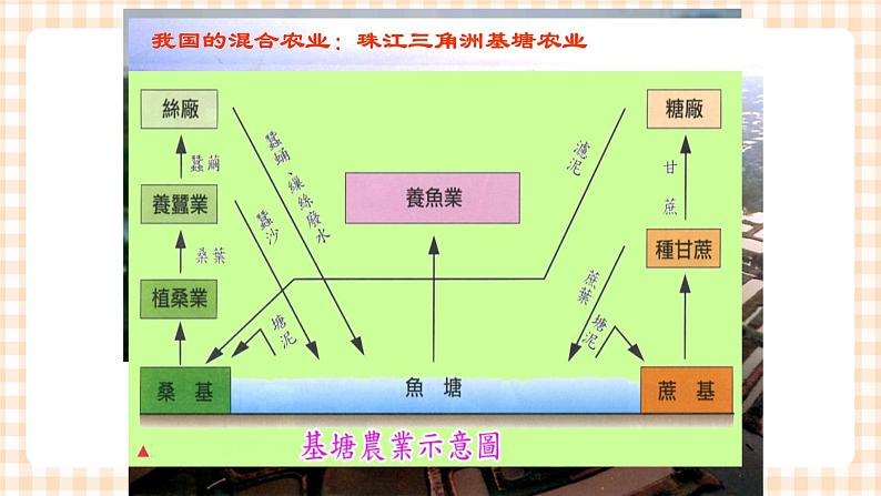 5.2 世界的农业 课件07