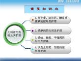 《儿科护理》第4章 第3节 儿科用药及护理 课件