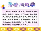 《儿科护理》第6章 第6节 课件 新生儿低钙血症的护理