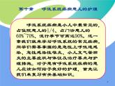 《儿科护理》第10章 第1节 小儿呼吸系统解剖生理特点 课件
