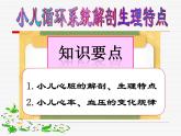 《儿科护理》第11章 第1节 小儿循环系统解剖生理特点 课件