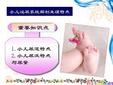 《儿科护理》第12章 第1节 小儿泌尿系统解剖生理特点  课件