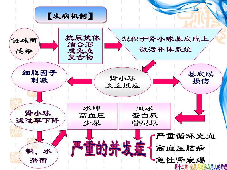 《儿科护理》第12章-第2节 急性肾小球肾炎患儿的护理 课件08