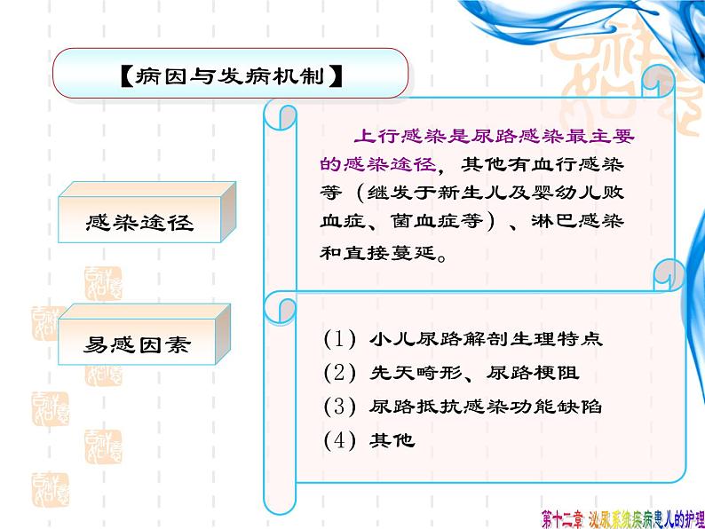 《儿科护理》第12章-第4节 小儿尿路感染的护理  课件08