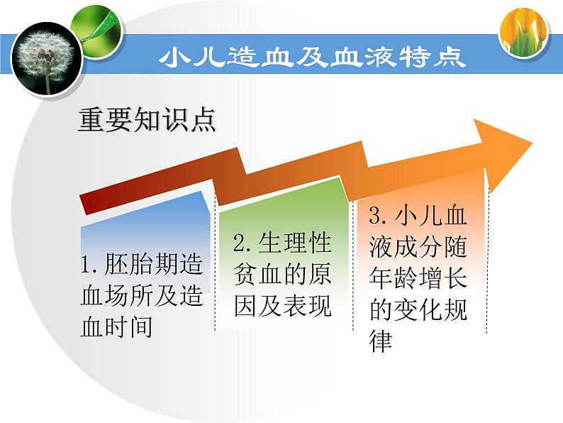 《儿科护理》第13章 第1节 小儿造血及血液特点 课件06