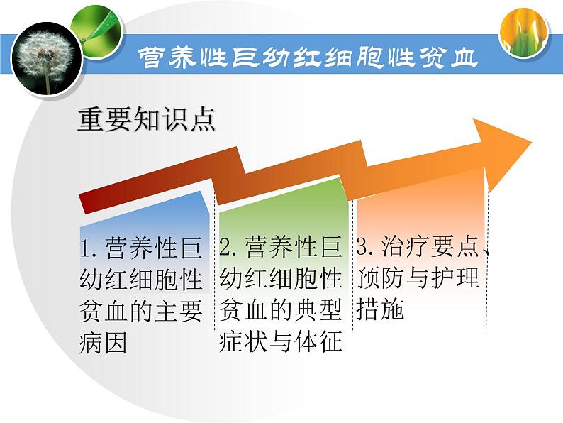 《儿科护理》第13章 第4节 营养性巨幼红细胞性贫血患儿的护理 课 课件06