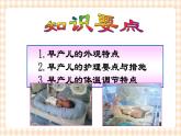 第5章 第3节 早产儿的特点及护理  课件+学案