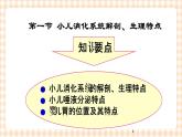 第9章 第1节 小儿消化系统解剖生理特点 课件+学案