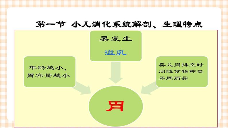 第9章 第1节 小儿消化系统解剖生理特点 课件+学案08