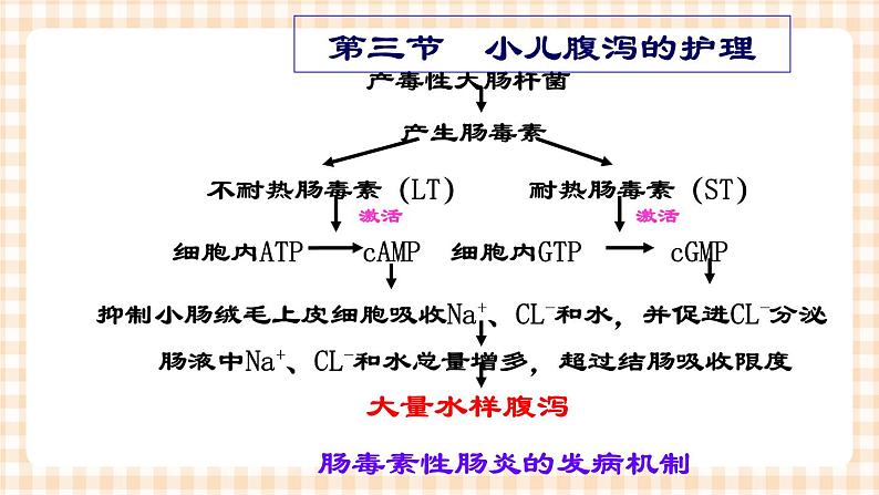 第9章 第3节 小儿腹泻的护理 课件+学案08