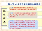 第10章 第1节 小儿呼吸系统解剖生理特点 课件+学案