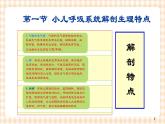 第10章 第1节 小儿呼吸系统解剖生理特点 课件+学案