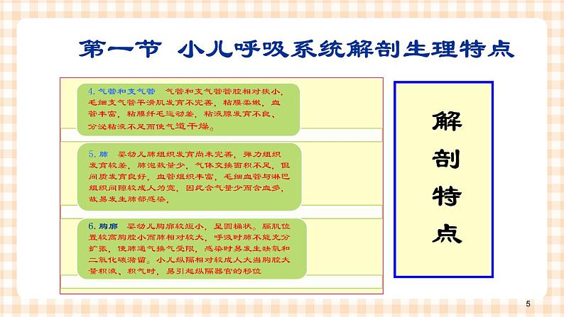 第10章 第1节 小儿呼吸系统解剖生理特点 课件+学案05