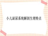 第12章 第1节 小儿泌尿系统解剖生理特点  课件+学案