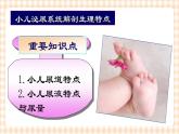 第12章 第1节 小儿泌尿系统解剖生理特点  课件+学案
