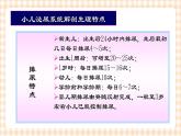 第12章 第1节 小儿泌尿系统解剖生理特点  课件+学案