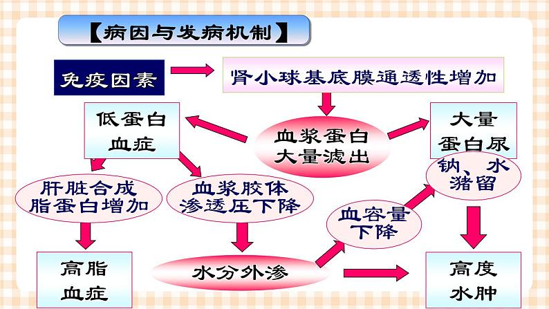 第12章-第3节 肾病综合征患儿的护理 课件+学案07