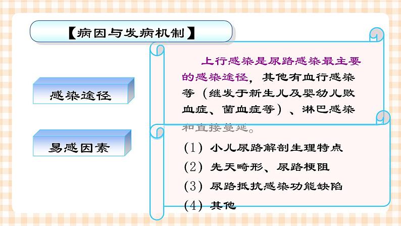 第12章-第4节 小儿尿路感染的护理  课件+学案06