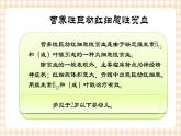 第13章 第4节 营养性巨幼红细胞性贫血患儿的护理 课件+学案