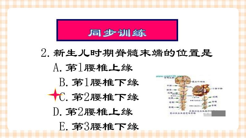 第15章 第1节 神经系统解剖生理特点 课件+学案08