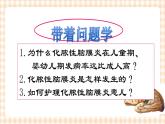 第15章 第2节 化脓性脑膜炎患儿的护理 课件+学案