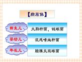 第15章 第2节 化脓性脑膜炎患儿的护理 课件+学案