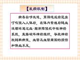第15章 第3节 病毒性脑膜炎与病毒性脑炎患儿的护理 课件+学案