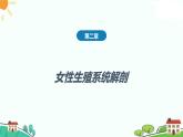 第二章女性生殖系统解剖课件PPT