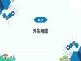 第二章女性生殖系统解剖课件PPT