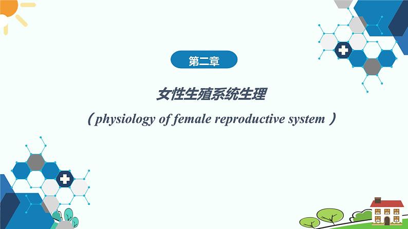 中职妇产科学第二章 女性生殖系统生理 课件第1页