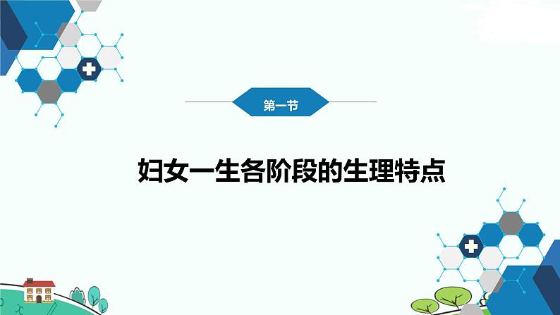 中职妇产科学第二章 女性生殖系统生理 课件04