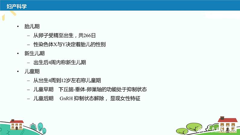 中职妇产科学第二章 女性生殖系统生理 课件第5页