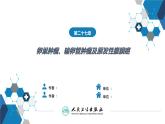第二十七章 卵巢肿瘤、输卵管肿瘤及原发性腹膜癌课件PPT