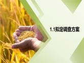 《农产品营销实务》课件 项目4 农产品市场调查与信息处理