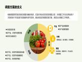 《农产品营销实务》课件 项目4 农产品市场调查与信息处理