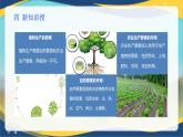 项目1 1.2 植物生产的两大要素（1）（课件）- 《植物生产与环境》（高教版第四版）同步精品课堂