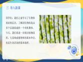 项目2 2.2 植物的组织（1）（课件）-《植物生产与环境》（高教版第4版）同步精品课堂