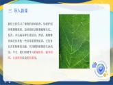 项目2 2.2 植物的组织（3）（课件）-《植物生产与环境》（高教版第4版）同步精品课堂