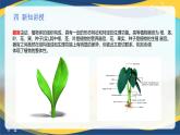 项目2 2.3 植物的营养器官（1）（课件）-《植物生产与环境》（高教版第4版）同步精品课堂