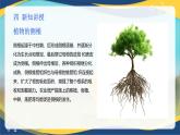 项目2 2.3 植物的营养器官（2）（课件）-《植物生产与环境》（高教版第4版）同步精品课堂