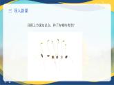 项目2 2.4 植物的生殖器官（4）（课件）-《植物生产与环境》（高教版第4版）同步精品课堂