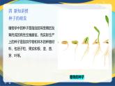 项目2 2.4 植物的生殖器官（4）（课件）-《植物生产与环境》（高教版第4版）同步精品课堂