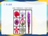 项目2 2.4 植物的生殖器官（2）（课件）-《植物生产与环境》（高教版第4版）同步精品课堂