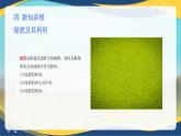 项目3 3.3 植物营养与科学施肥（5）（课件）-《植物生产与环境》（高教版第4版）同步精品课堂