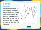 项目2 2.3 植物的营养器官（3）（课件）-《植物生产与环境》（高教版第4版）同步精品课堂